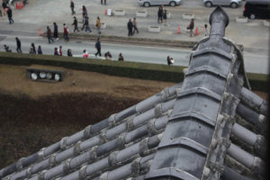 櫓から瓦を見る