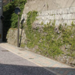 桜馬場中学校の石垣