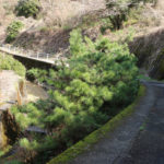 長崎県長崎市本河内3丁目34、小倉方面を振り返る