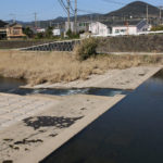 郡川を沖田町側からみる