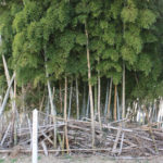 千葉流鉄砲的場跡