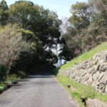 木陰に『みさかえの園あゆみの家』が見える長崎街道の下り坂(岩松町)