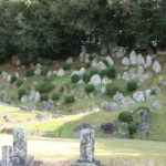 庭園部分。石がたくさん並んでいる