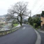 松井糀屋(長崎市古賀町225-1)