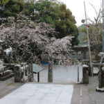 拝殿の前から四の鳥居を撮る