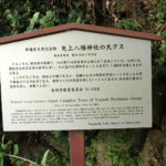 矢上八幡神社の大クスの案内板(矢上町12-12)