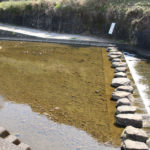 迂回ルートへ渡れる飛び石がある。向こうに松井糀屋がみえる(古賀町)