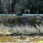 迂回ルートの役行者神社がみえる(古賀町75付近)