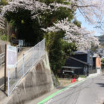 街道沿いの児童デイサービスと桜(古賀町860)