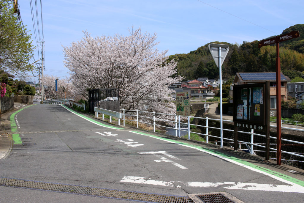 桜が見事な街道、道標もある(中里町49付近)