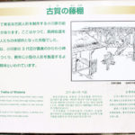 古賀の藤棚の案内板(中里町1533)