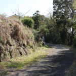 街道(東彼杵町里郷1337付近)