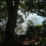 街道のすぐ足元は海、大村湾(東彼杵町里郷1337付近)