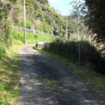 街道。正面の少し高い位置に国道が走っている。(東彼杵町里郷694)