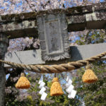 彼杵神社の一の鳥居のしめ縄(東彼杵町蔵本郷1880-1付近)