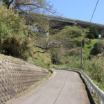 街道。木々が生い茂り、先が見渡しにくい。(東彼杵町彼杵宿郷962)