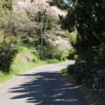 街道の下り坂(千綿宿郷77付近)