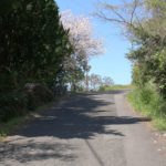 街道の下り坂を振り返る(千綿宿郷77付近)