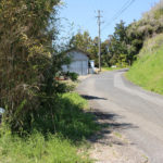 草に覆われた街道の道標。街道は下り坂。小倉方面を振り返る(千綿宿郷68付近)