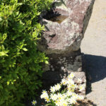 牛ノ頭壺日審上人霊場(千綿宿郷859)