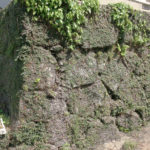 立派な石垣(写真は意図的にコントラストを下げている)(瀬戸郷1266-1)