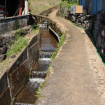 街道沿いの水路(瀬戸郷1388-1)